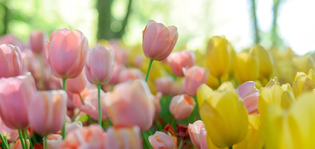 Für eine gesunde Haut im Frühling