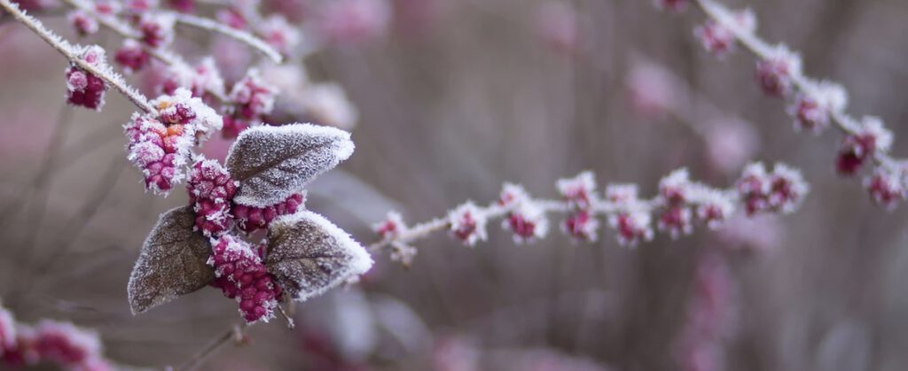 Wintersonnenwende oder Dōng Zhì