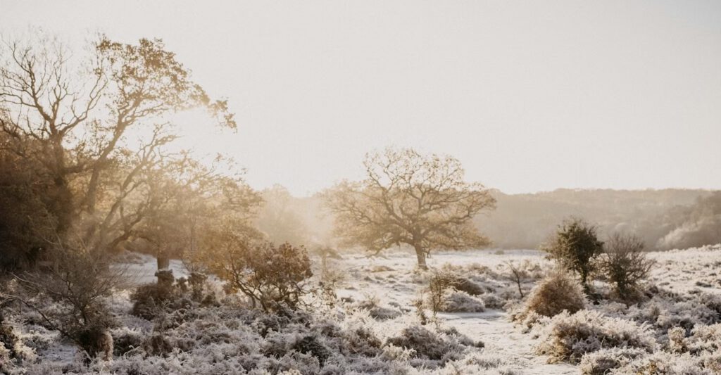 Yin-Energie – eine Zeit der Ruhe
