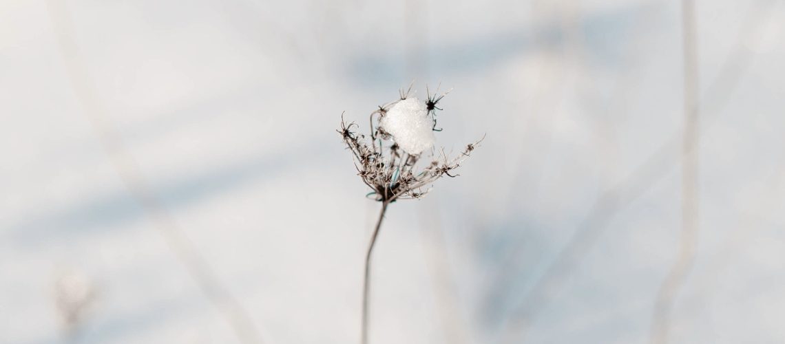 Winterzeit