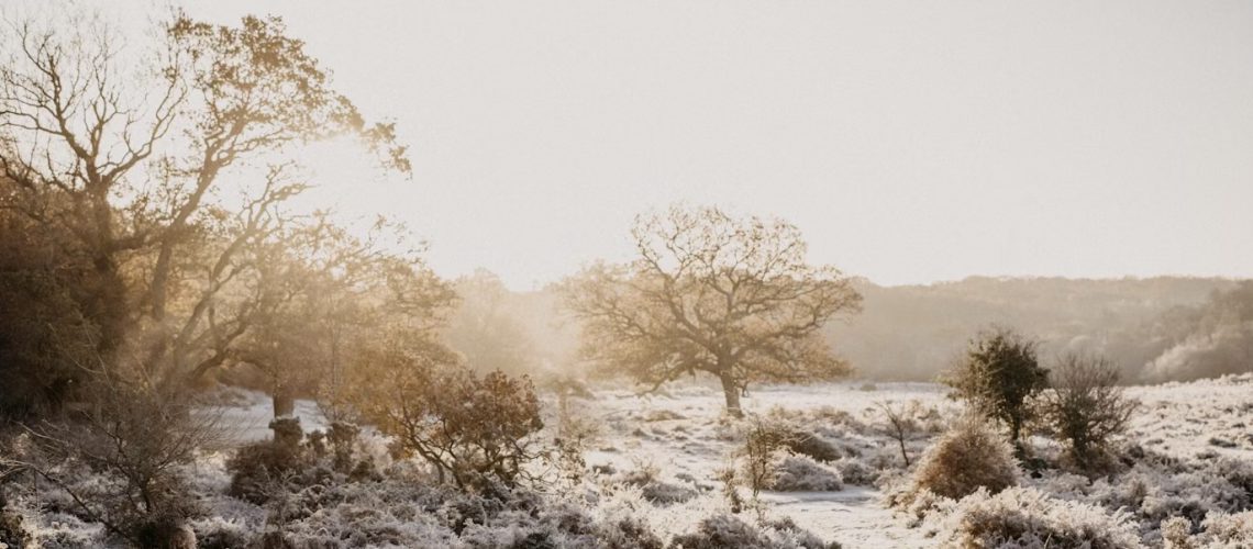 Yin-Energie – eine Zeit der Ruhe