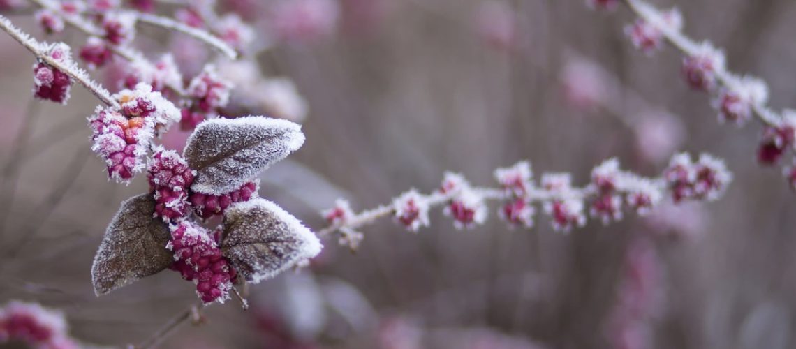 Wintersonnenwende oder Dōng Zhì