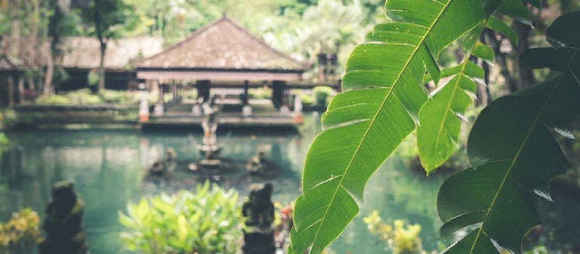 Lifestyle Tipps TCM Tipps für ein gesundes Leben