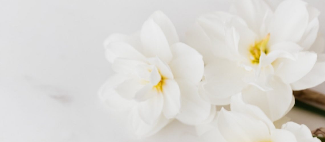 Frühling